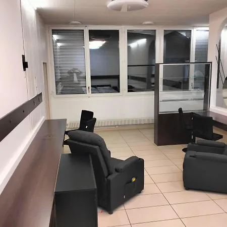 Business And Jacouzzi In Appartement Lausanne
